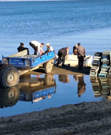 İznik Gölü’nde bereketli sezon...Gümüş balığında yüzler gülüyor