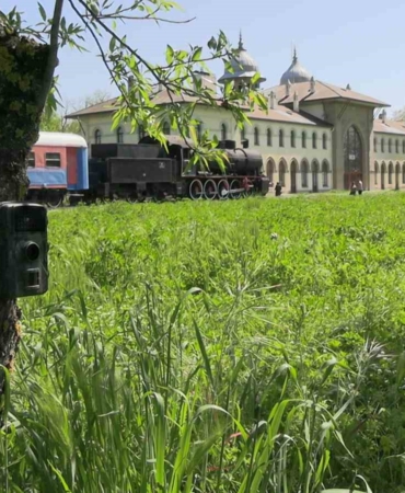 Edirne’de fotokapanlar yaban hayatını görüntülüyor