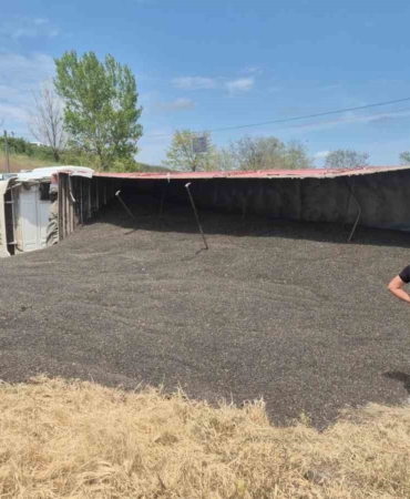 Tekirdağ’da ayçiçeği çekirdeği yüklü tır devrildi, trafik kilitlendi