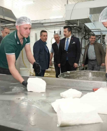 Her gün 3,5 ton sütten 12 çeşit peynir üretiyorlar