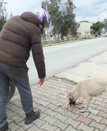 Edremitli genç 5 yıldır sokak köpeklerini besliyor