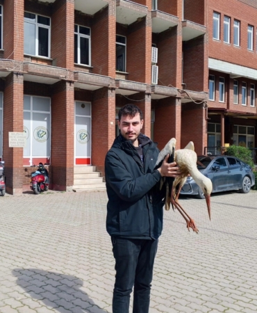 Bilecik’te yaralı leylek koruma altına alındı