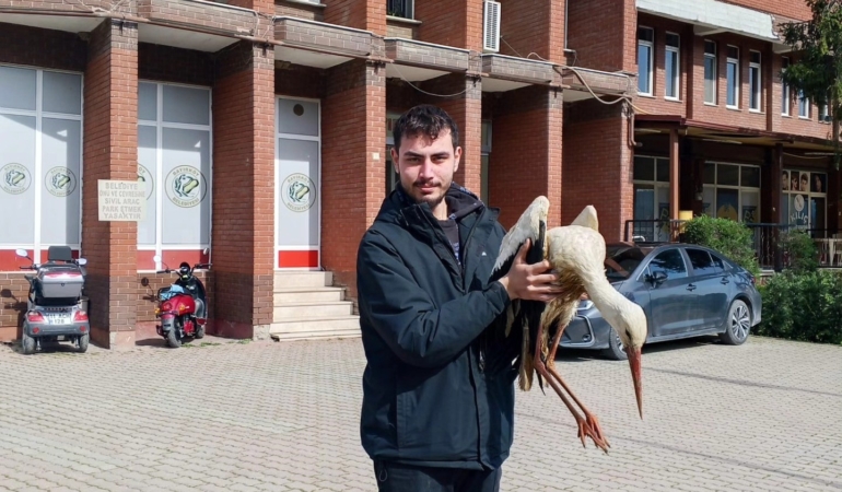 Bilecik’te yaralı leylek koruma altına alındı