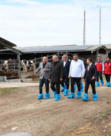 Kurban Bayramı öncesi hayvancılık işletmelerinde inceleme