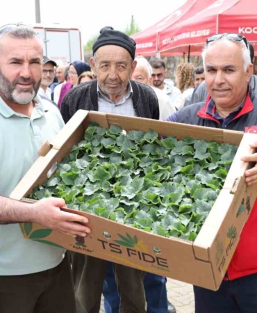 Gebzeli çiftçiye 500 bin sebze fidesi desteği