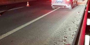 Yola çıkan atlar zincirleme kazaya neden oldu