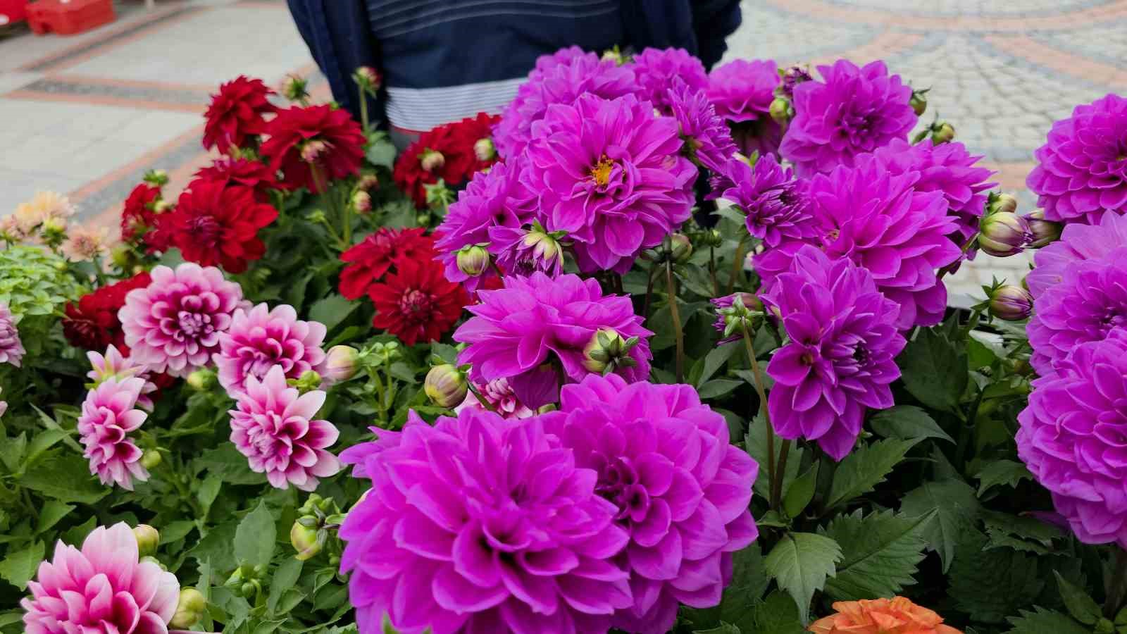 Edirne Saraçhane Caddesi’nde fesleğen kokusu