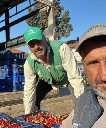 İznik’te mevsimin ilk karabodur kirazı hasadı başladı
