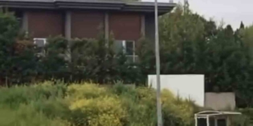 Aç kalan domuz sürüsü, gündüz şehir merkezine indi
