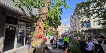 Bursa’da seyir halindeki araçların üzerine ağaç devrildi: 1 kişi yaralandı