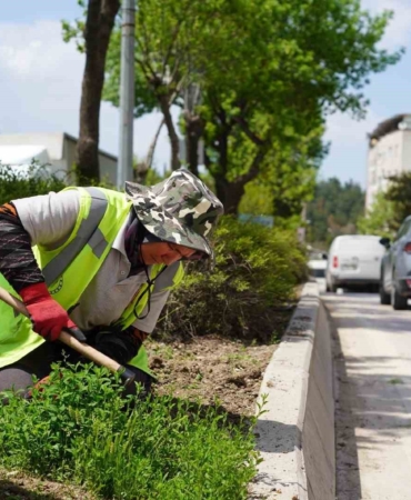 Bilecik’te park ve bahçeler müdürlüğünden yaza hazırlık çalışmaları