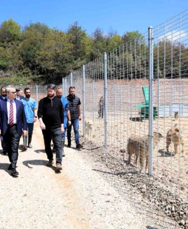 Kocaeli’de 650 köpek kapasiteli yeni barınak hizmete alındı