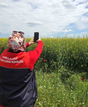 Tarlalarda dijital tarım çalışmaları
