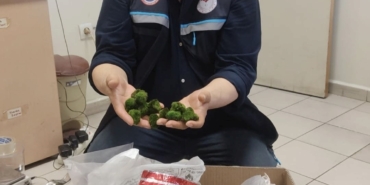 Kapıkule’de yolcu otobüsünde 2 bin adet canlı yeşil alg ele geçirildi