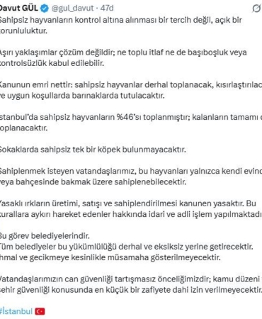 İstanbul Valisi Davut Gül: "Sahipsiz hayvanların yüzde 46’sı toplanmıştır; kalanların tamamı da toplanacaktır"