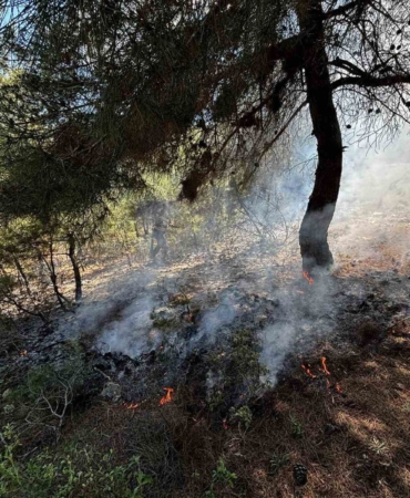 Bilecik’te ormanlık alanda yangın çıktı
