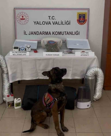 Yalova merkezli 3 ilde göçmen kaçakçılığı operasyonu: 3 tutuklama