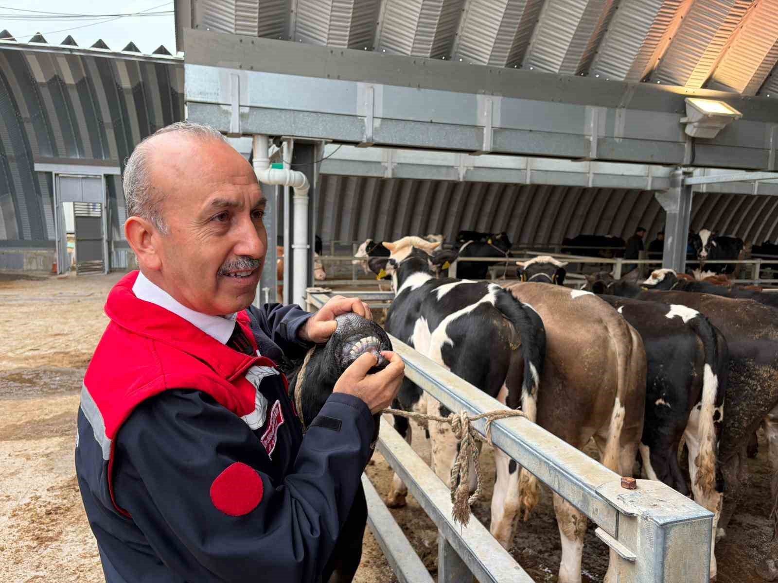 Müdür Düzgün: "256 kesim yeri için onay verildi"