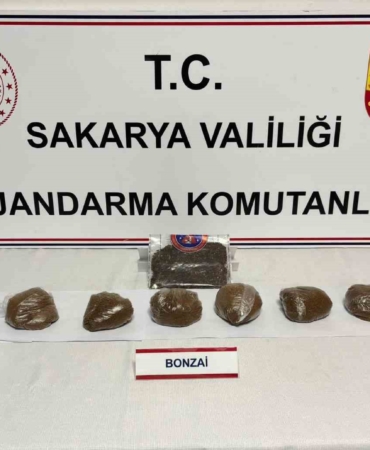 Sakarya’da 2 ilçede uyuşturucu operasyonu: 2 tutuklama