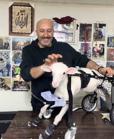 Demir ustası felçli canlara ’umut’ oluyor: 9 yılda bin hayvanı ayağa kaldırdı