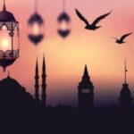 3559727_dbc5ddf2a354a20410090741ad0ce8fd_640x640