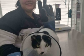 2 gündür kayıptı...En son o ilçede görüldü