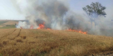25 dönüm ekili buğday ve arpa cayır cayır yandı