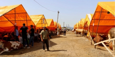 448201547_872845741550288_6518595821068100736_n