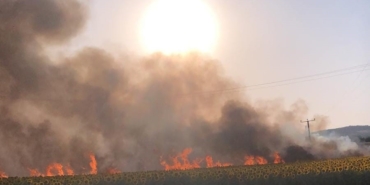 60 dönüm alan küle döndü