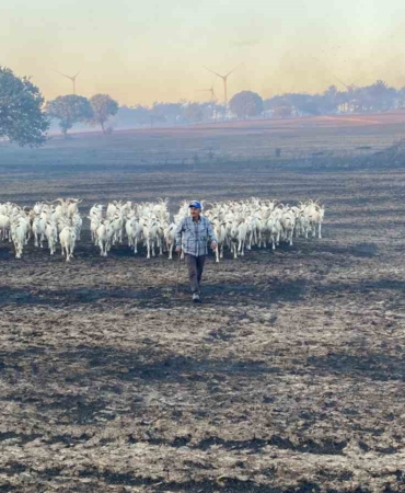 80 küçükbaş hayvanını yanmaktan son anda kurtardı