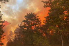 BURSA'DAKİ ORMAN YANGINI 50 DEKARLIK ALANDA ETKİLİ OLUYOR YANGINA HAVADAN 8, KARADAN 80 ARAÇ VE 242 PERSONEL İLE MÜDAHALE EDİLİYOR