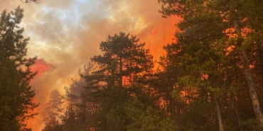 BURSA'DAKİ ORMAN YANGINI 50 DEKARLIK ALANDA ETKİLİ OLUYOR YANGINA HAVADAN 8, KARADAN 80 ARAÇ VE 242 PERSONEL İLE MÜDAHALE EDİLİYOR