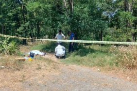 Ağaçlık alanda kadın cesedi bulundu