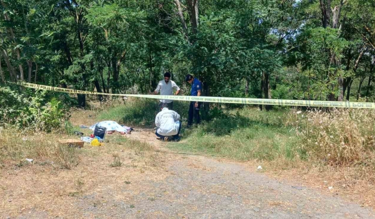 Ağaçlık alanda kadın cesedi bulundu