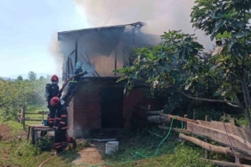 Ahır ve samanlık alevlere teslim oldu, hayvanlar son anda kurtarıldı