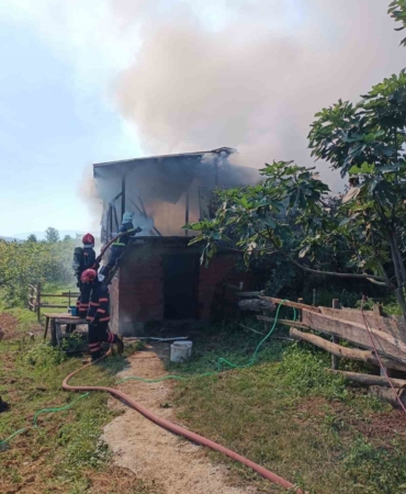 Ahır ve samanlık alevlere teslim oldu, hayvanlar son anda kurtarıldı