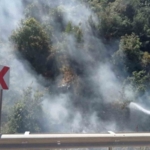 Akli dengesi olmayan vatandaş, ormanı küle çevirecekti