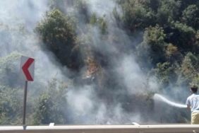 Akli dengesi olmayan vatandaş, ormanı küle çevirecekti