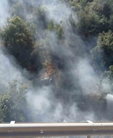 Akli dengesi olmayan vatandaş, ormanı küle çevirecekti