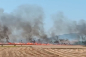 Alevler otobana gelmeden söndürüldü