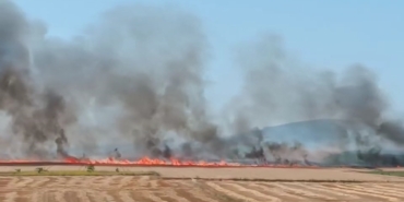 Alevler otobana gelmeden söndürüldü