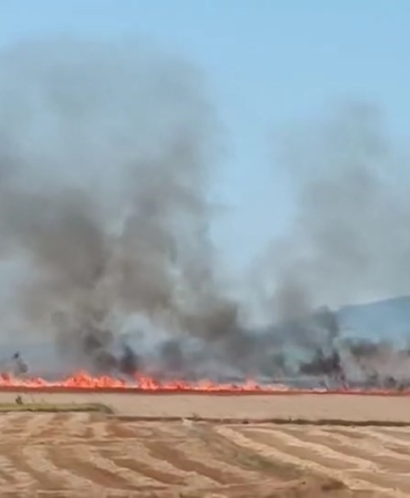 Alevler otobana gelmeden söndürüldü
