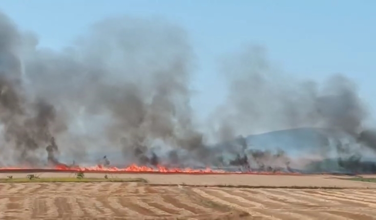 Alevler otobana gelmeden söndürüldü