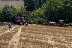Anız yangını mezarlığa sıçramadan söndürüldü