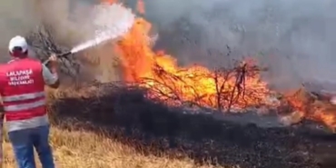 Anız yangını ormana sıçradı