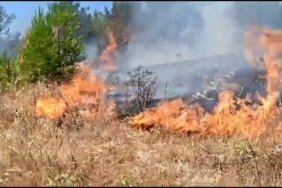 Anız yangını, ormana sıçramadan kontrol altına alındı