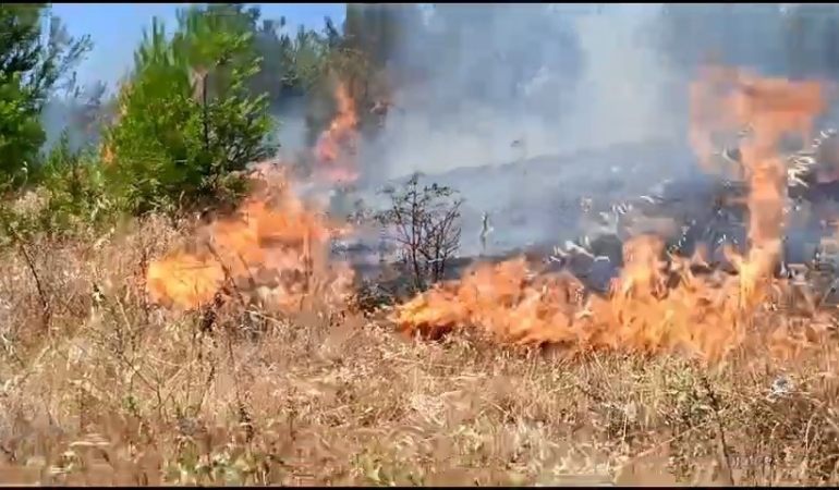 Anız yangını, ormana sıçramadan kontrol altına alındı