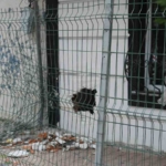 Arnavutköy’de freni boşalan aracın sürücüsü binaya çarptı: Evin duvarında delik oluştu