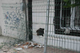 Arnavutköy’de freni boşalan aracın sürücüsü binaya çarptı: Evin duvarında delik oluştu