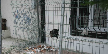 Arnavutköy’de freni boşalan aracın sürücüsü binaya çarptı: Evin duvarında delik oluştu